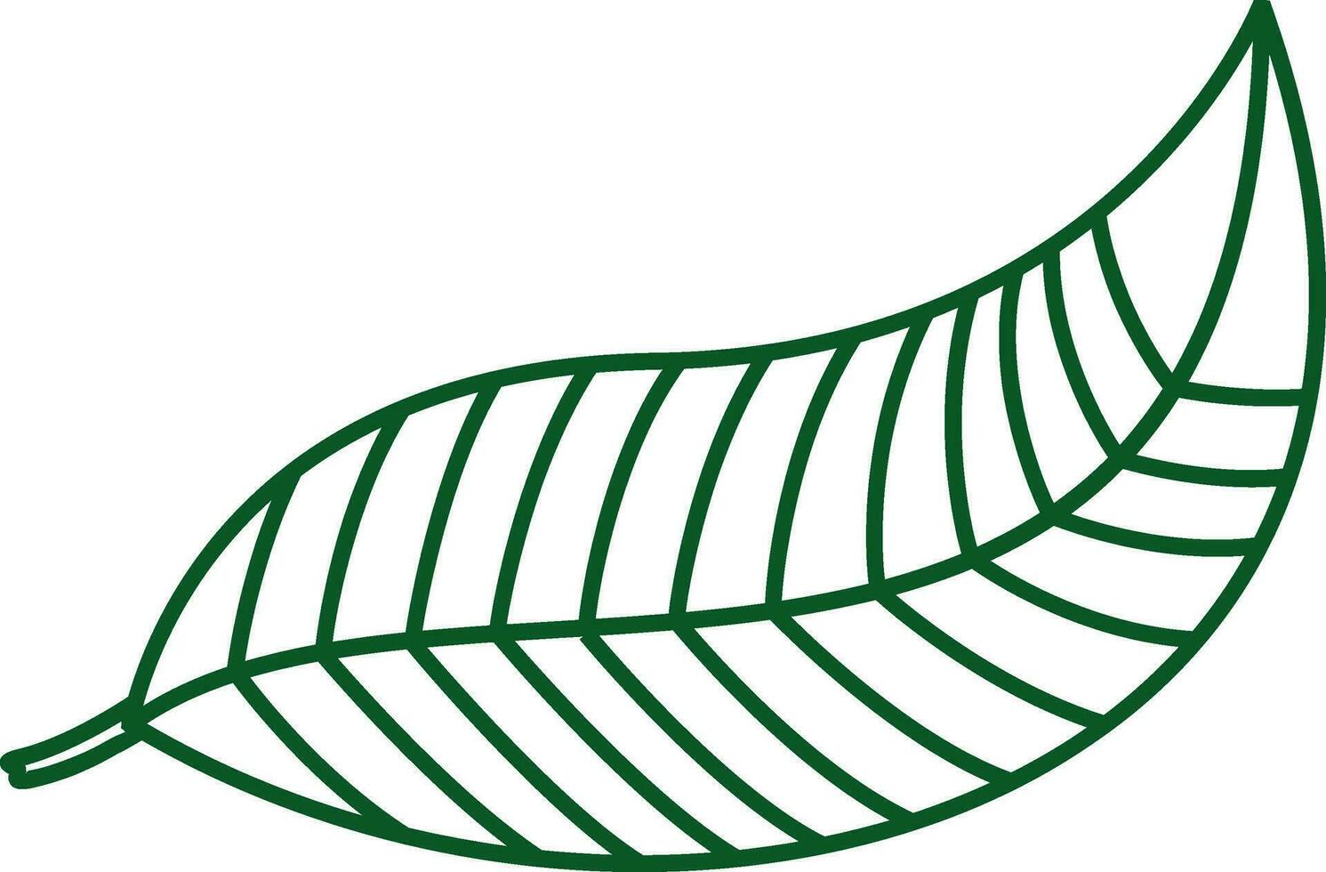 Green line art leaf on white background. vector