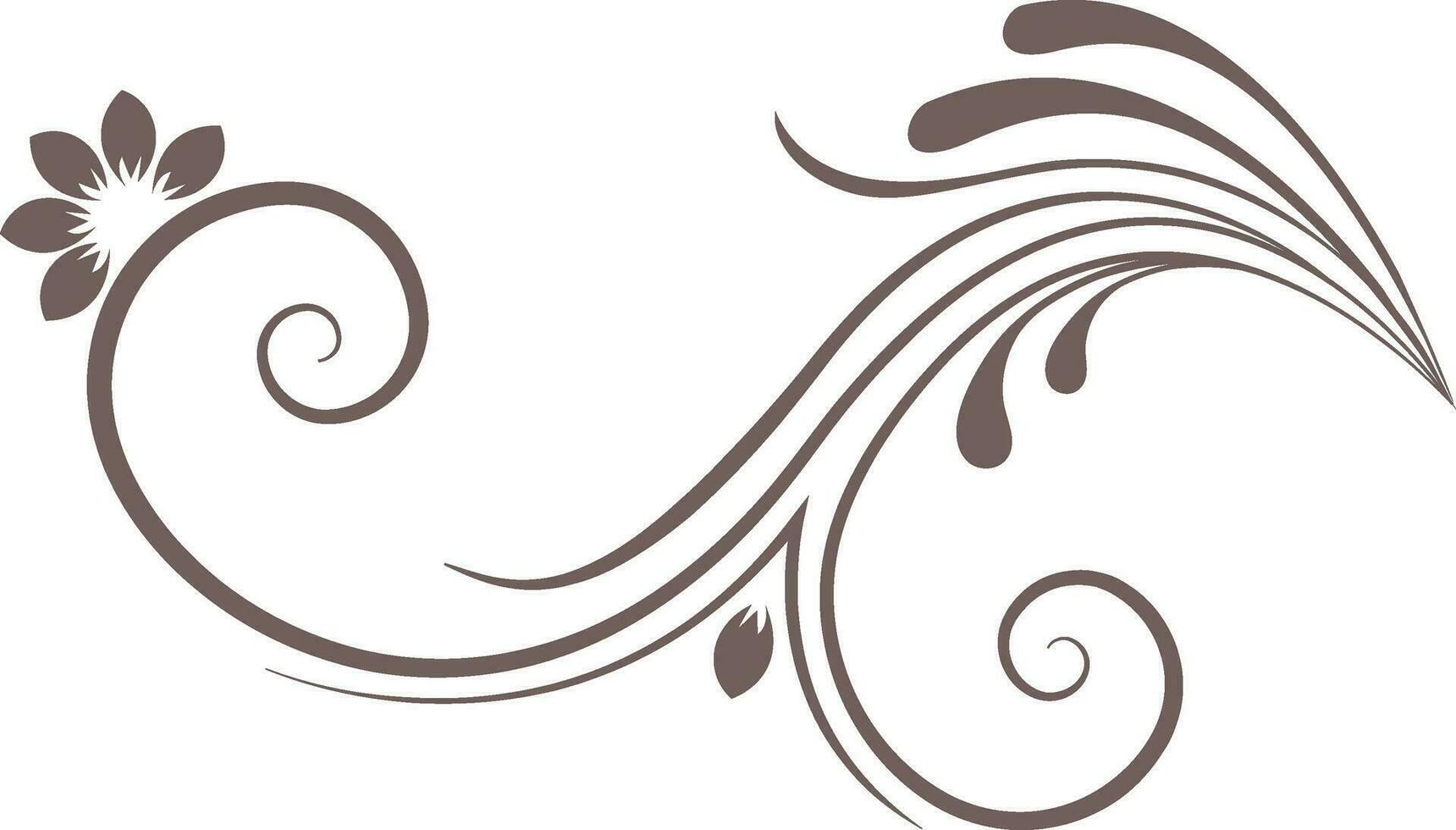 Flower with leaves decorated background. vector