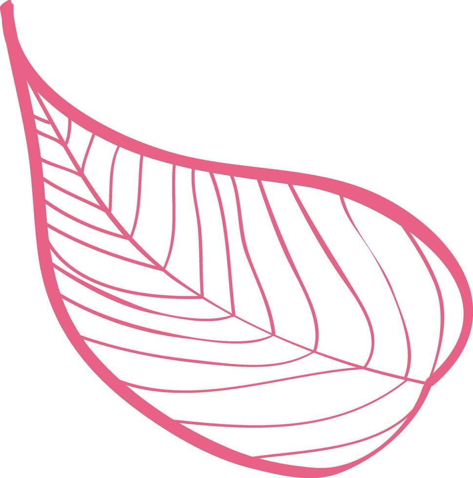 Big leaf on white backdrop freehand outline ink. vector
