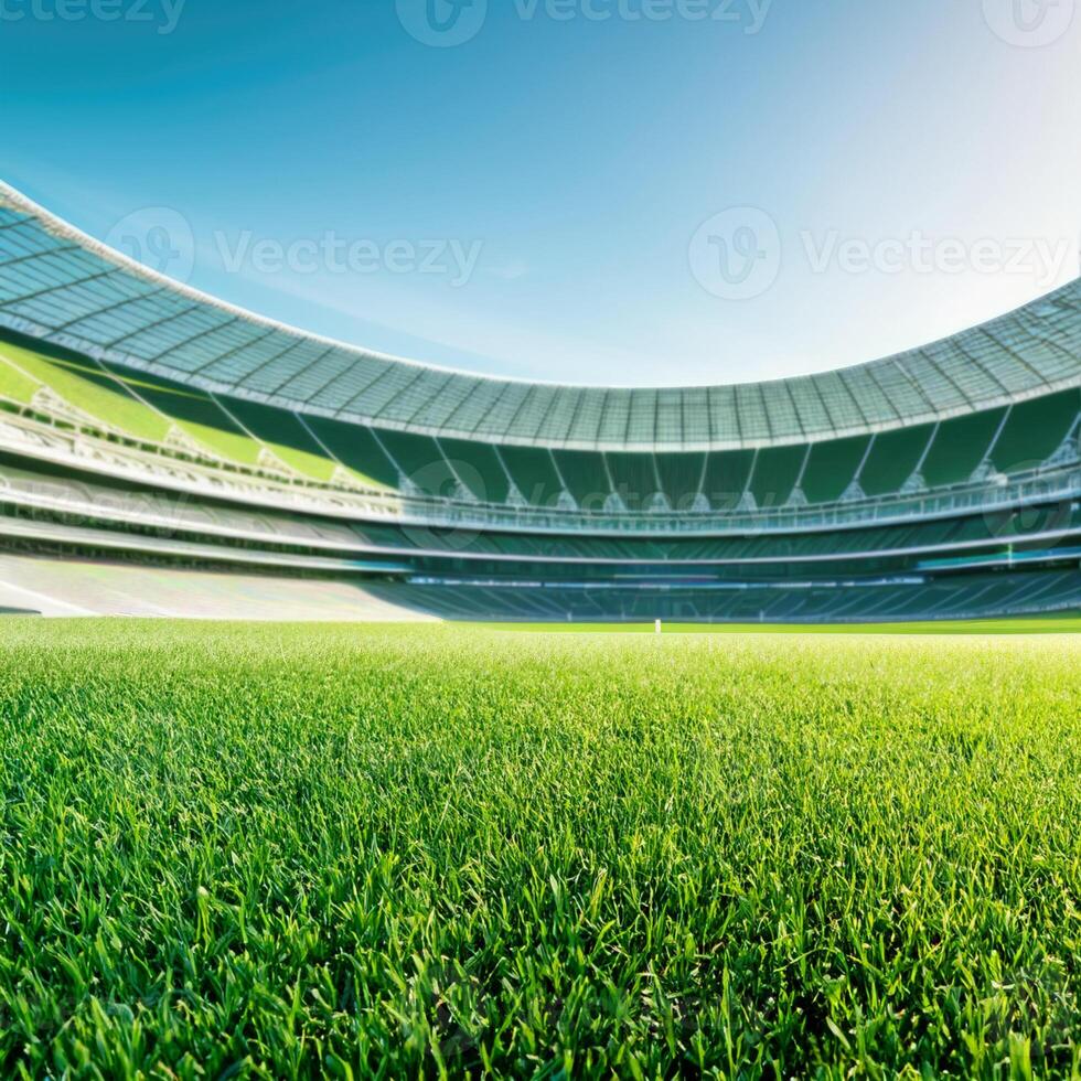 Soccer stadium with green field. photo