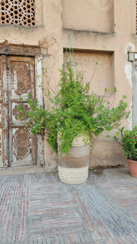 Old wood texture door at lahore fort photo