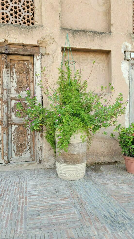 Old wood texture door at lahore fort photo