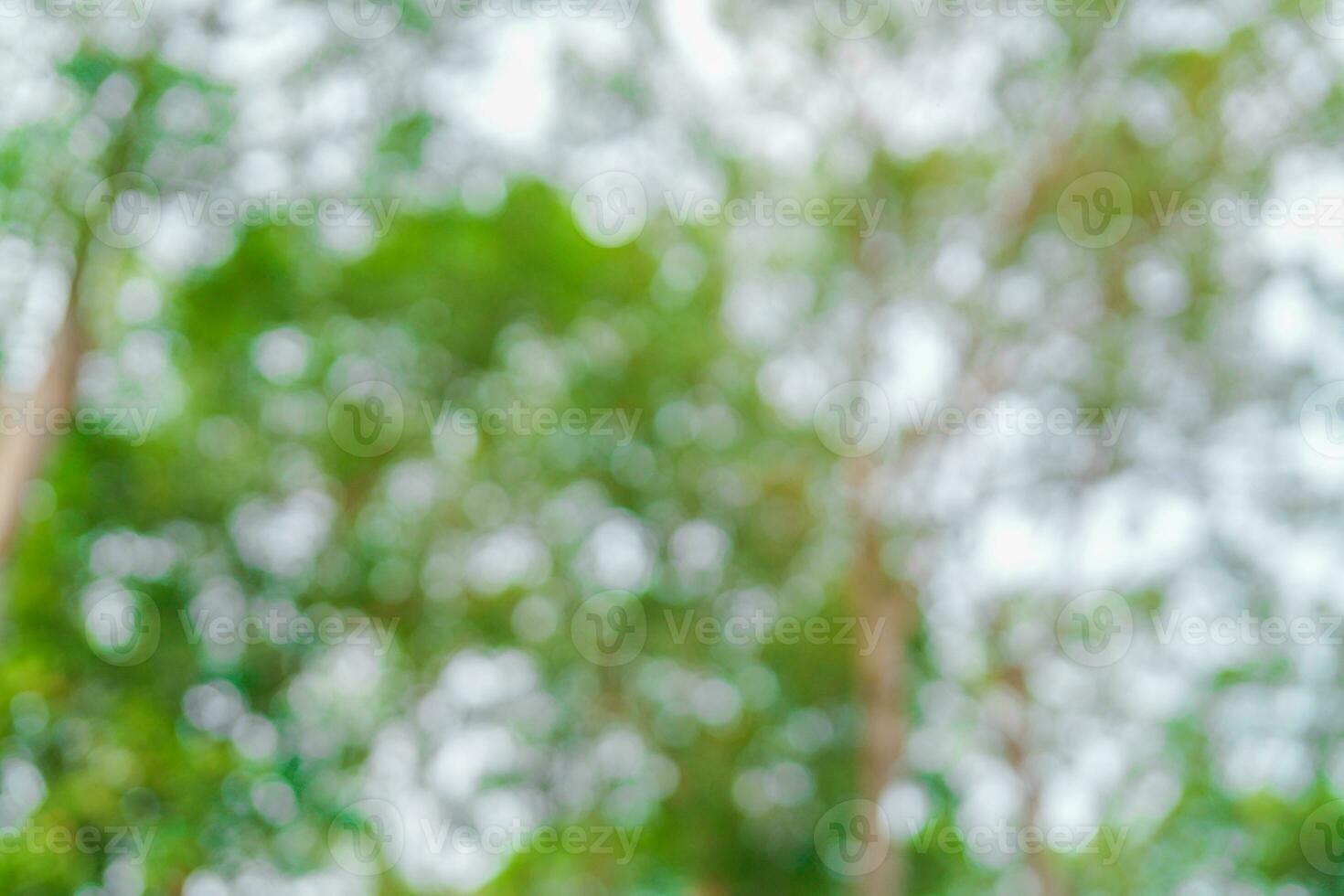 difuminar resumen antecedentes verde arboles y un nublado azul cielo foto
