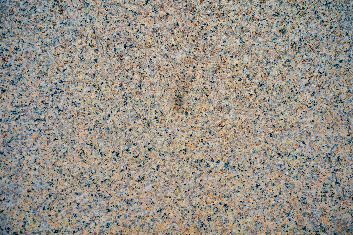 Grunge flecked stone vector pattern. Flecked stone pattern. Dot texture pattern photo