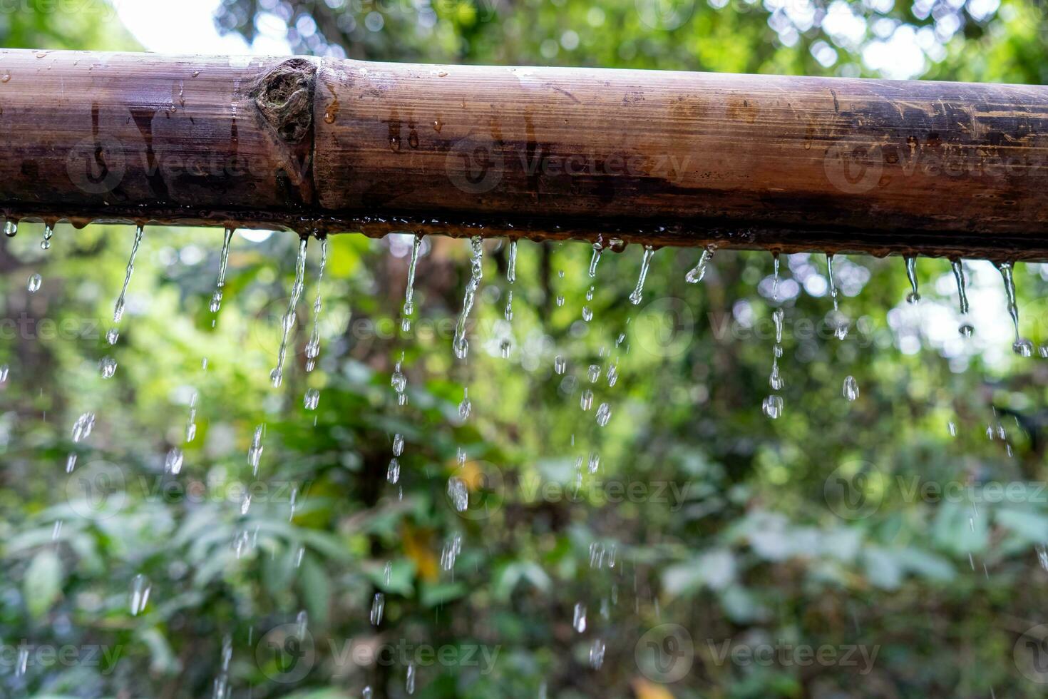 bambú con agua corriente terminado el agua , relajación con agua onda gotas concepto foto