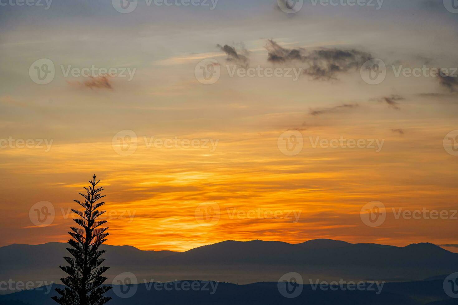Mountain range with visible silhouettes through the morning colorful fog photo