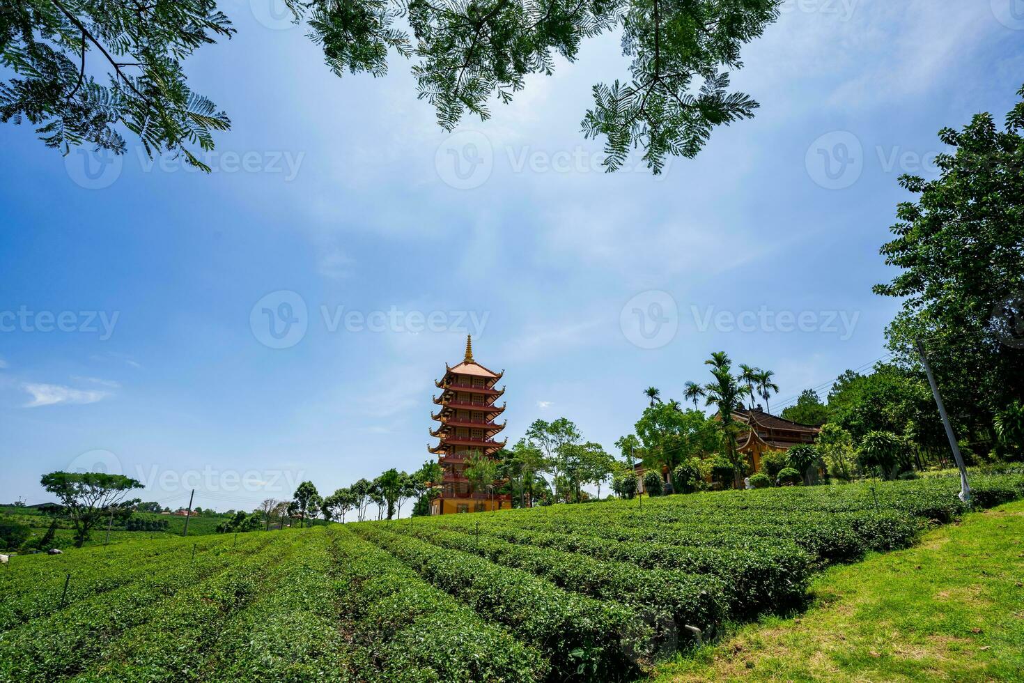 Beautiful view of Bat Nha Pagoda in Bao loc city, Vietnam photo