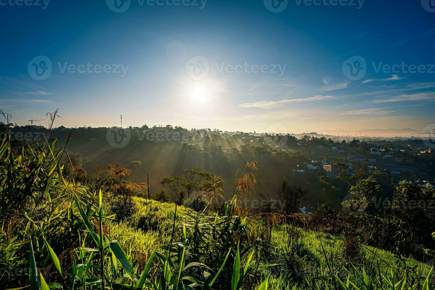 Mountains during morning. Beautiful natural landscape in the summer time with fog photo