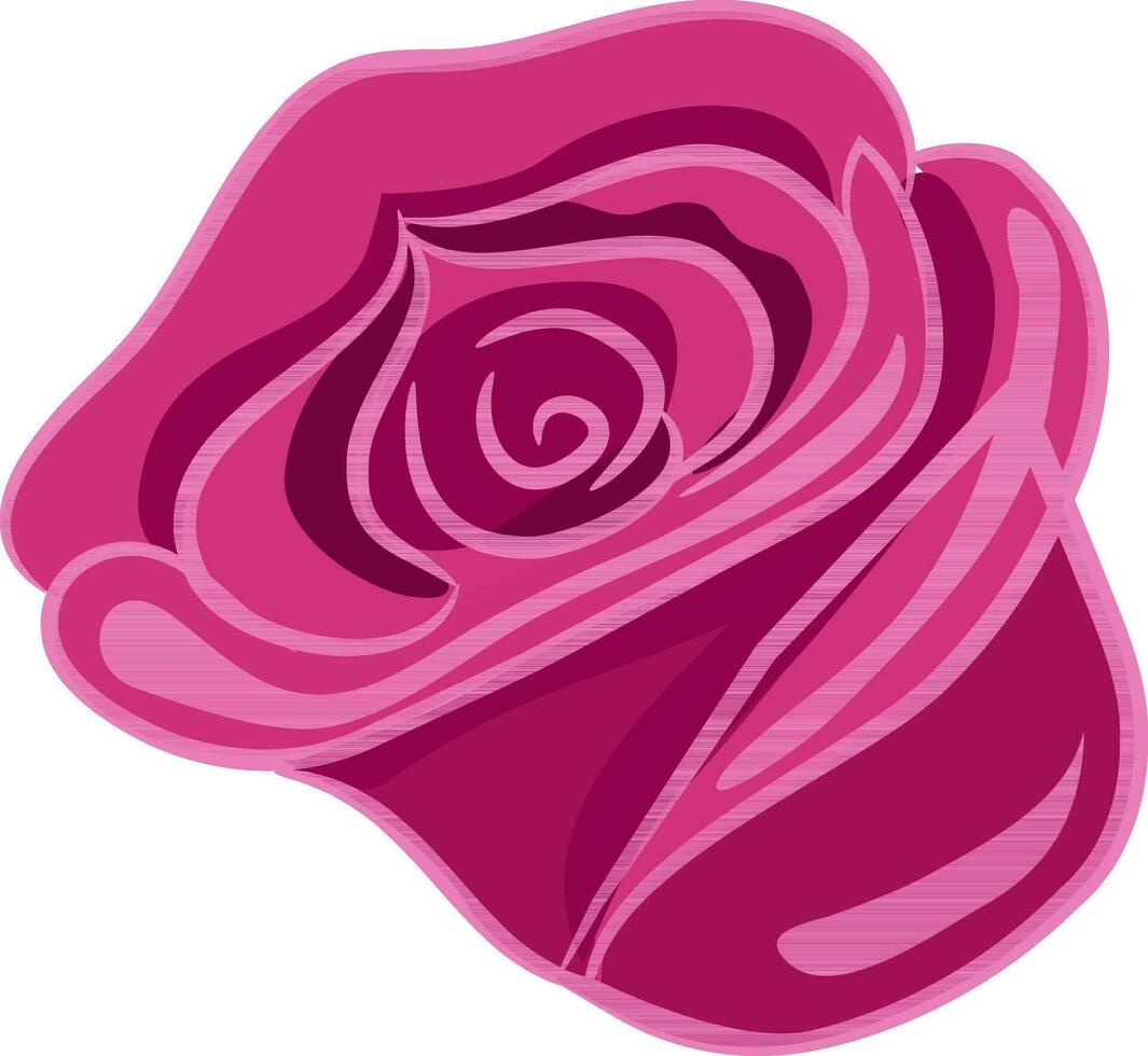 Pink rose isolated on white background. vector