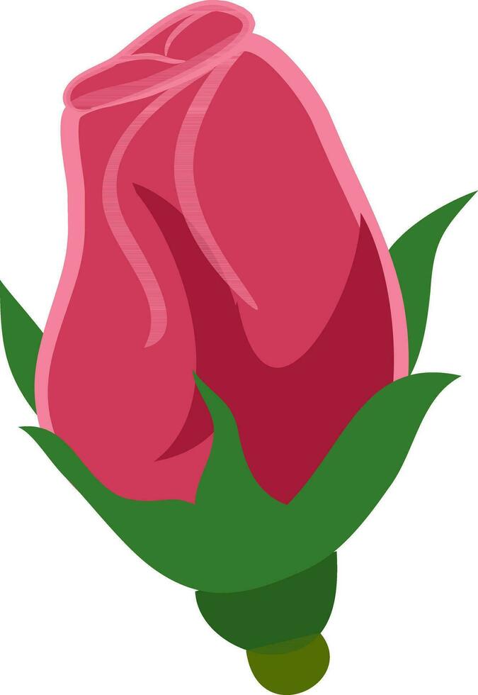 Young bud of a red rose. vector
