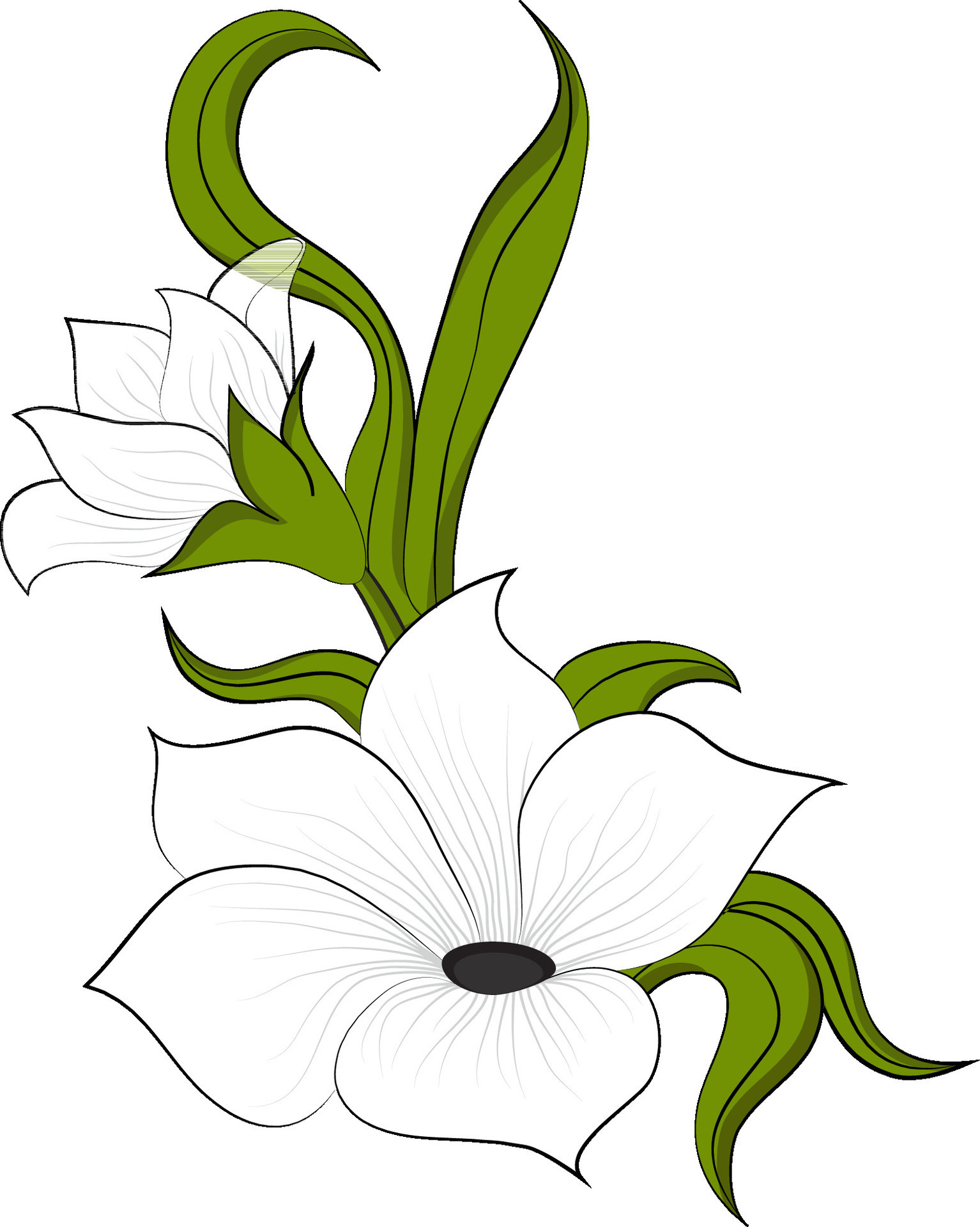 Illustration of white flower. 24858622 Vector Art at Vecteezy