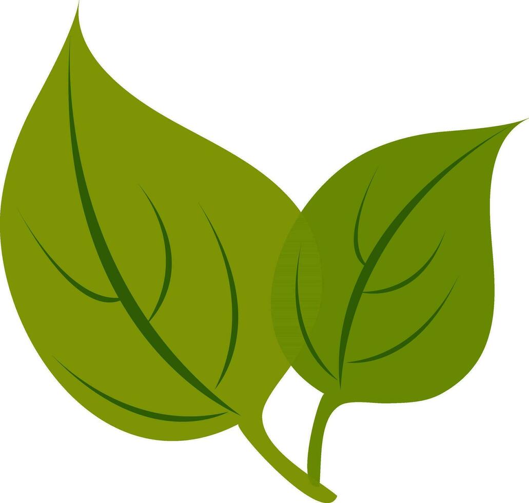 Flat illustration of green leaves. vector