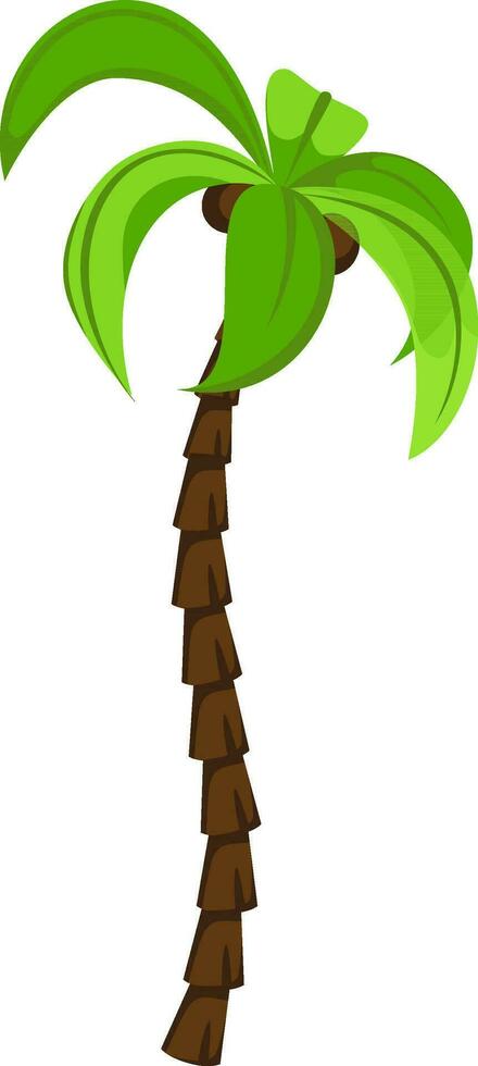 Illustration of a coconut tree. vector