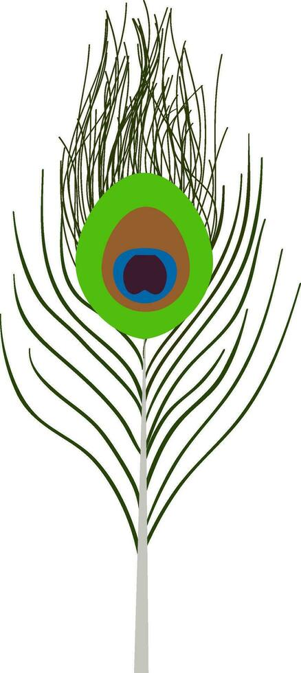 ilustración de pavo real pluma. vector