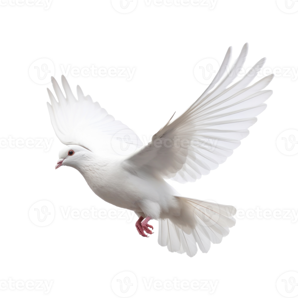 White pigeon flying isolated. Illustration AI Generative png