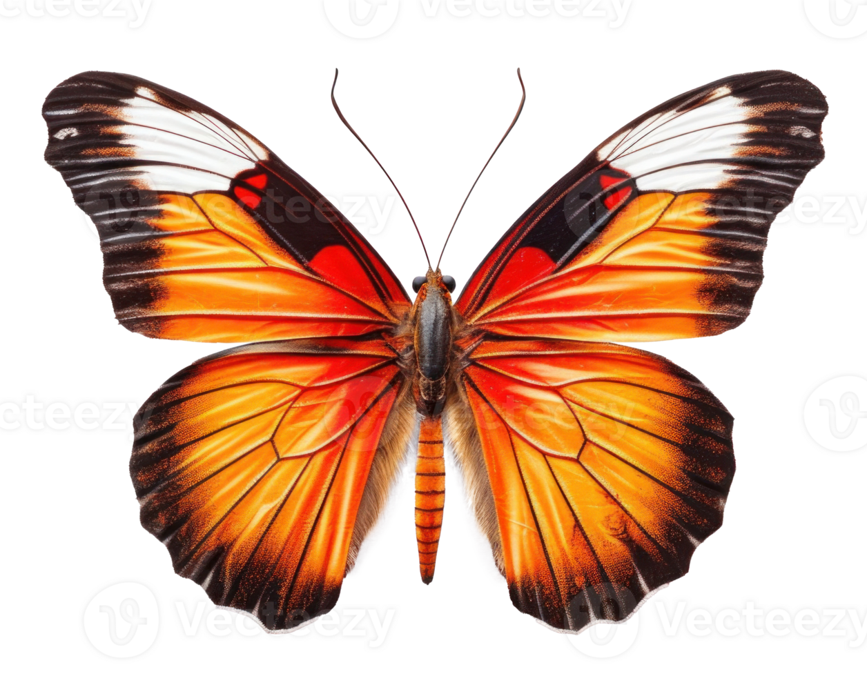 Tropical butterfly isolated. Illustration AI Generative png