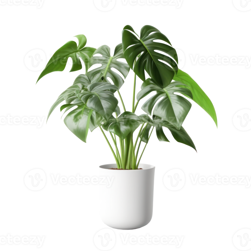 monstera fabriek in keramisch pot. illustratie ai generatief png