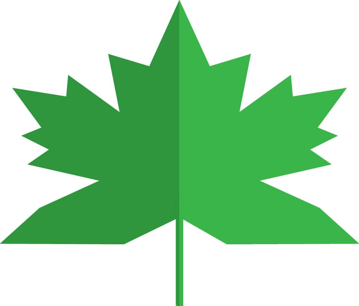 Green maple leaf in flat style. vector