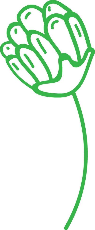 Line art illustration of green flower bud. vector