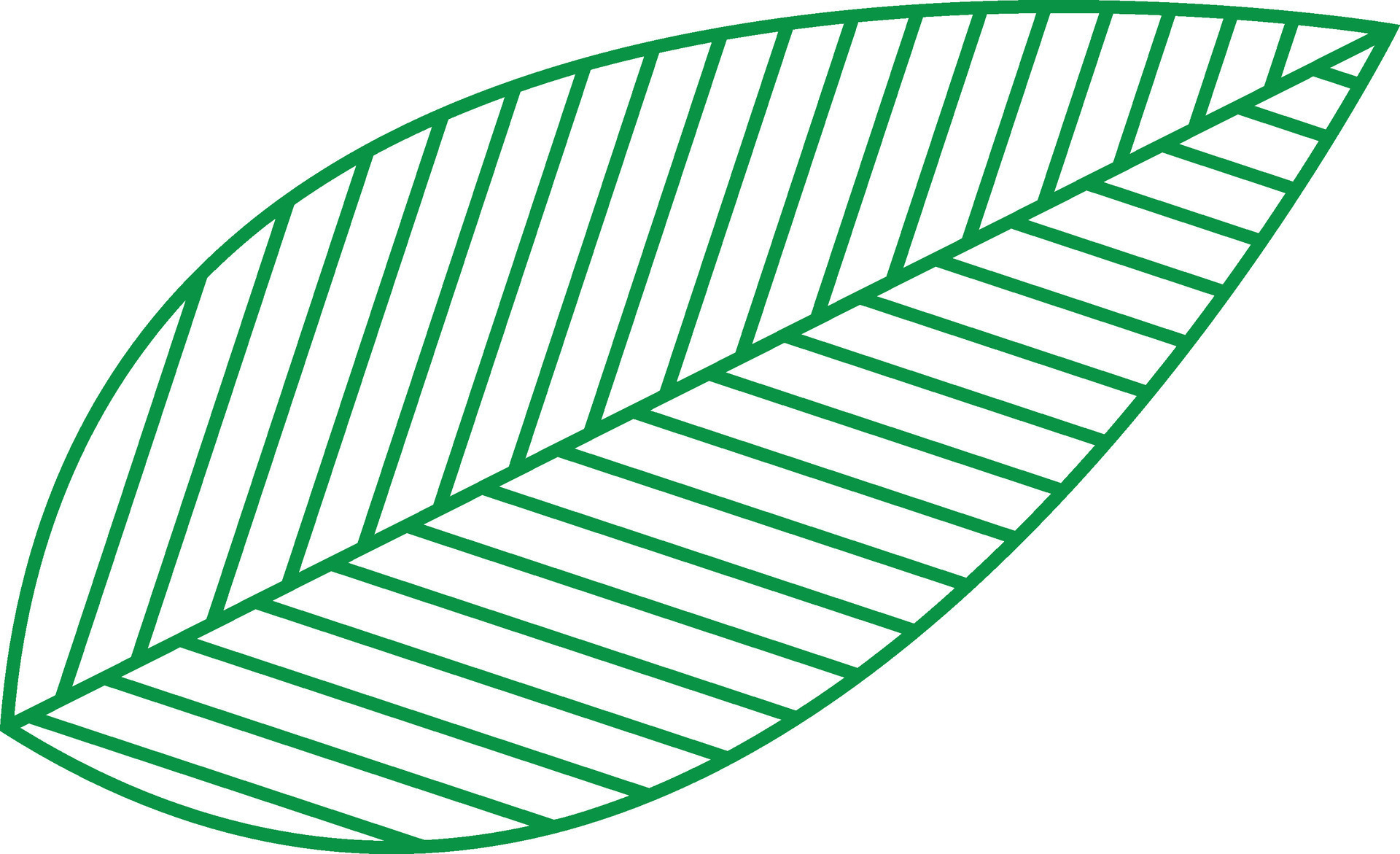 Line art green leaf on white background. 24860254 Vector Art at Vecteezy