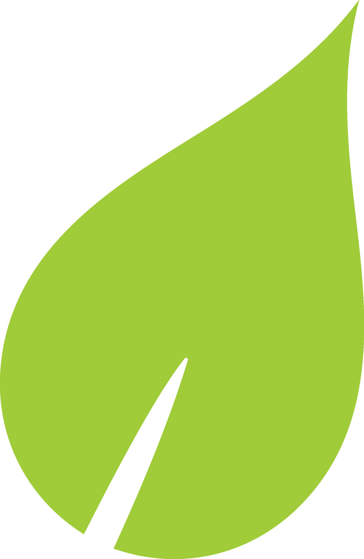 Green leaf on white background. 24860297 Vector Art at Vecteezy