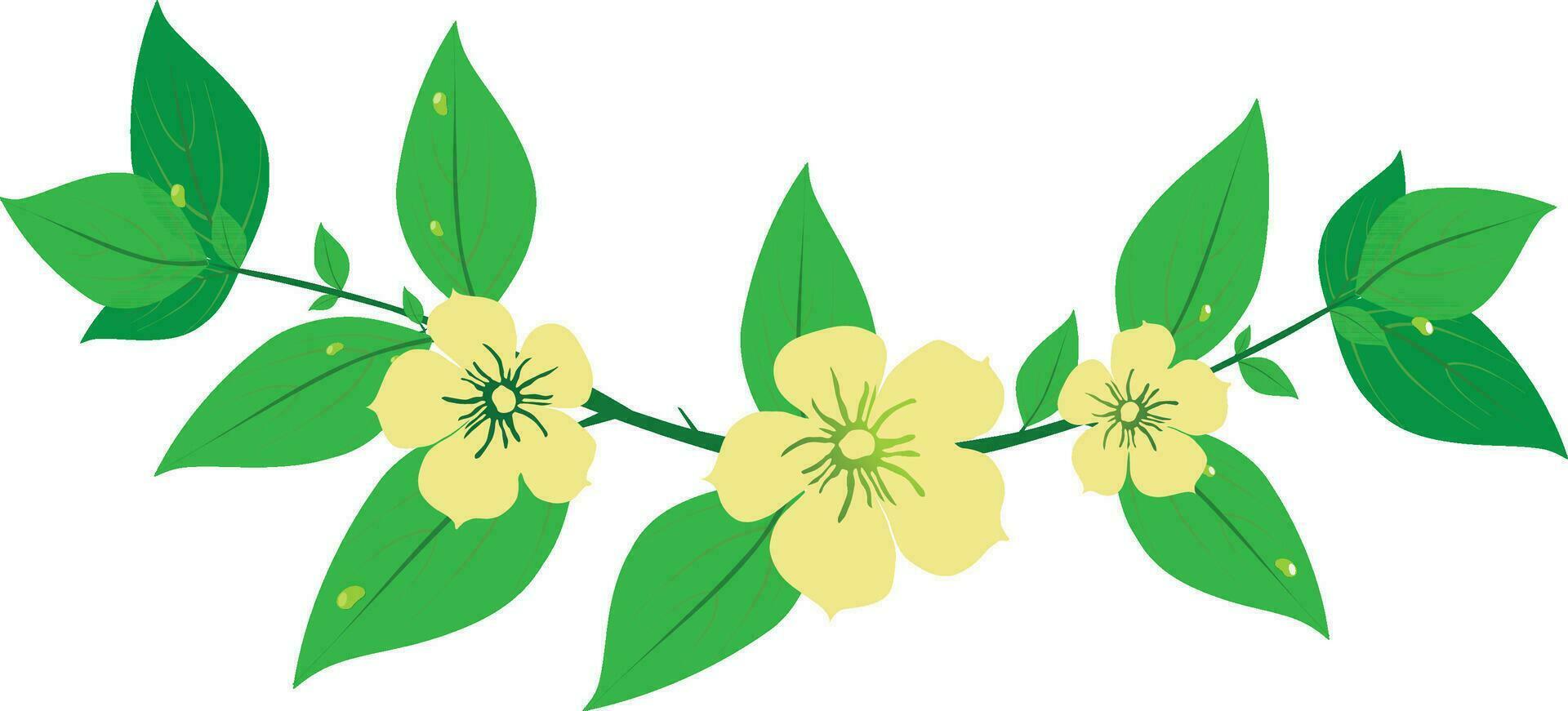 Beautiful flowers with leaves. vector