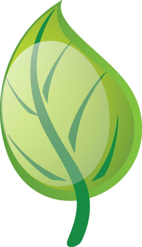 Green leaf on white background. vector