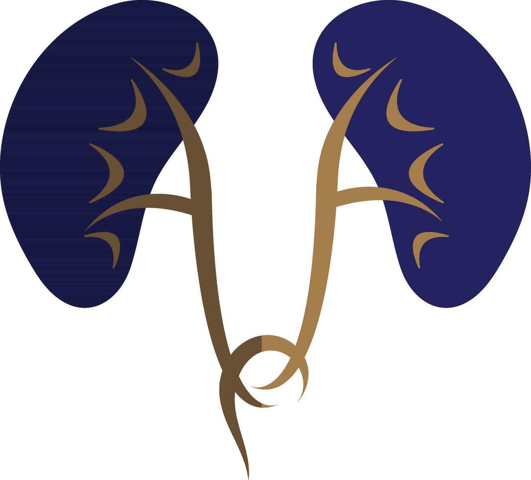Blue kidney in flat style. vector