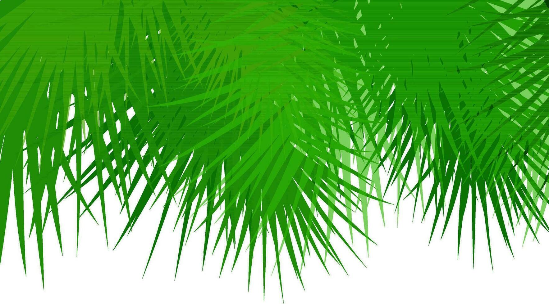 Illustration of green fir tree branches. vector