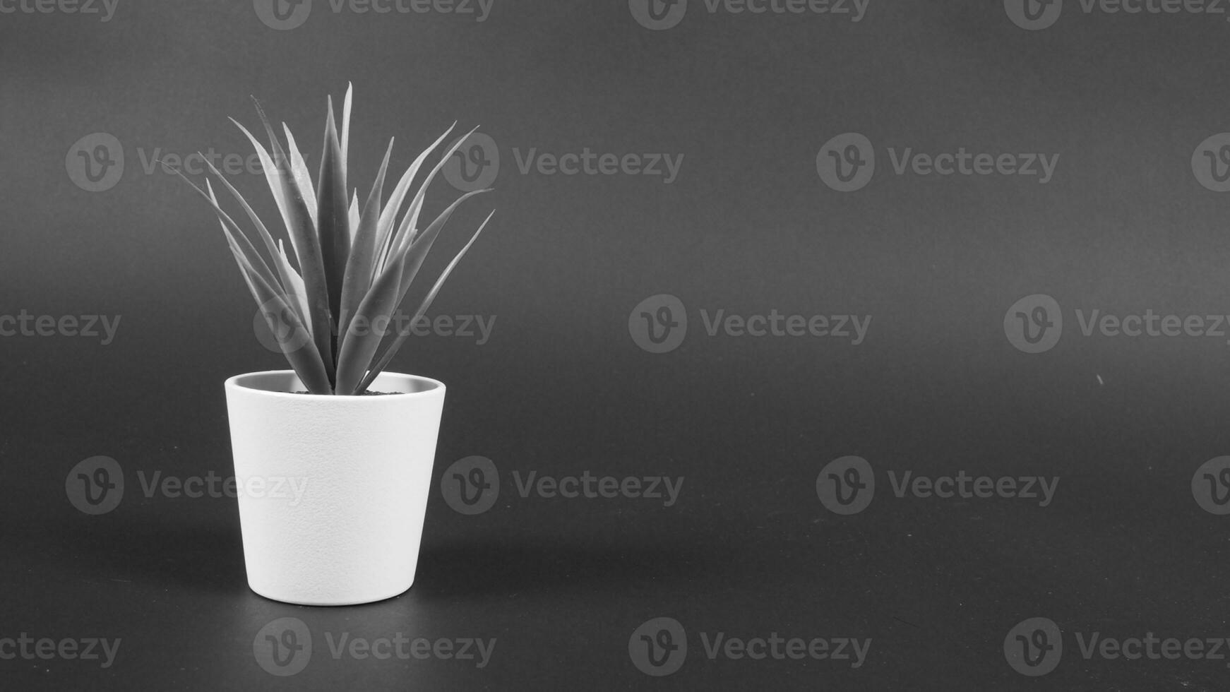 Artificial plants or plastic or fake tree on black background. 24862038