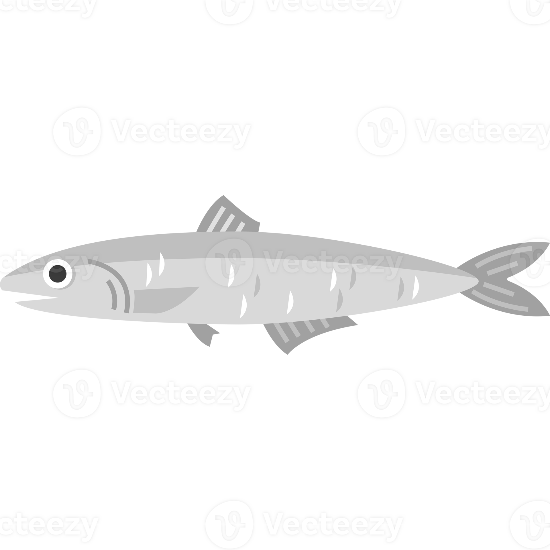 Anchovy fish seafood sea animal 24862403 PNG