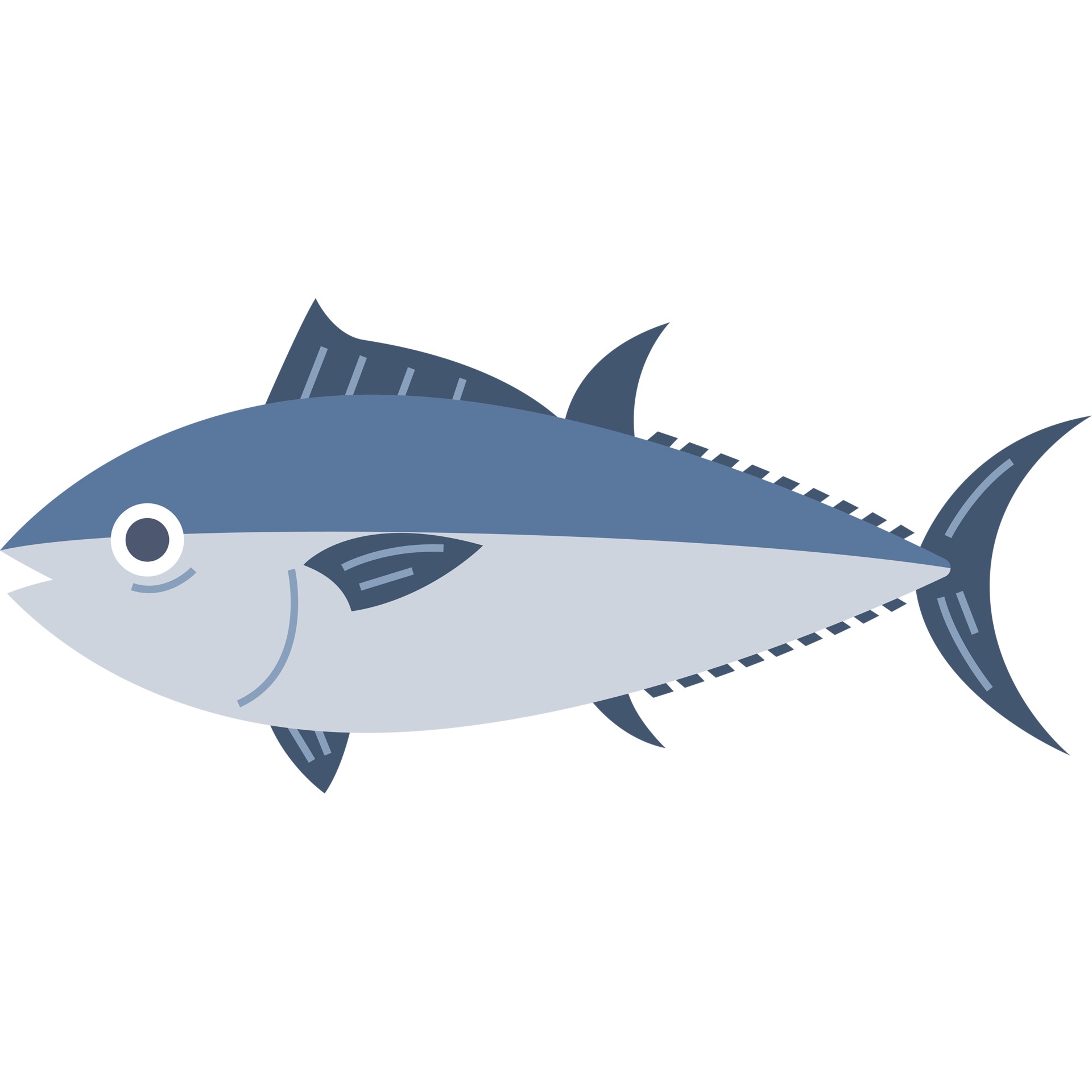Tuna fish seafood sea animal 24862435 PNG