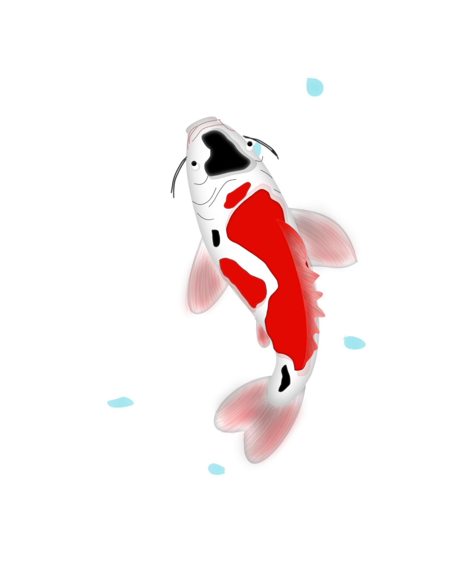 japanese-koi-fish-24862714-png
