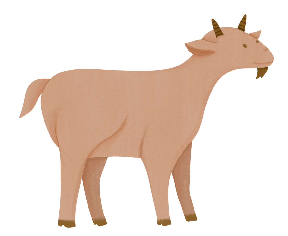 Goat Eid Al Adha png