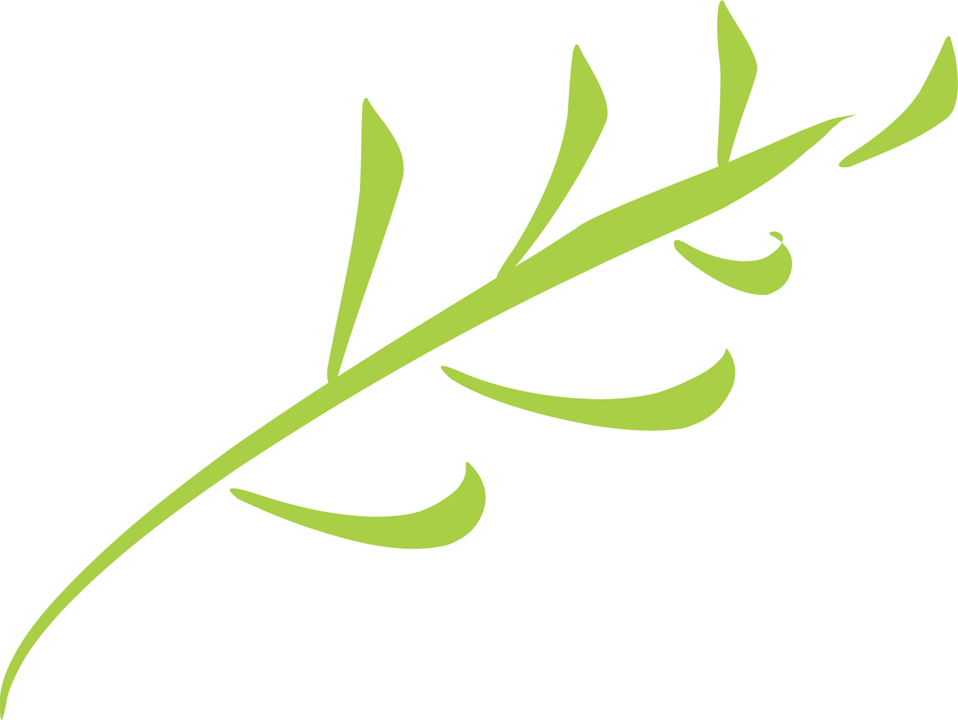 Green tea leaf 24864949 PNG