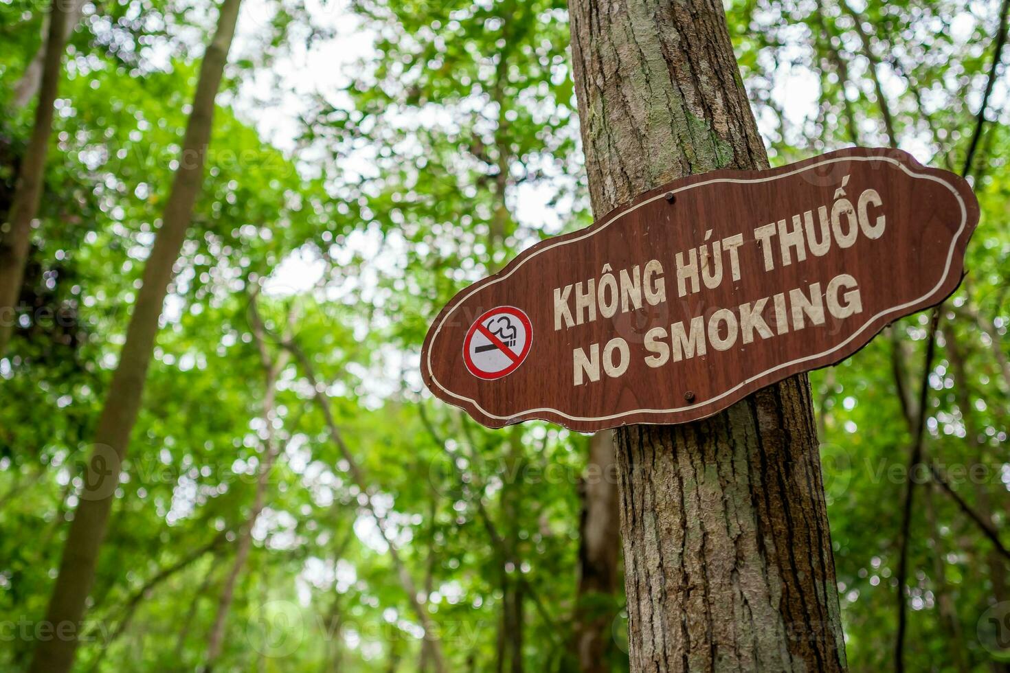 No Smoking Sign in a Park photo