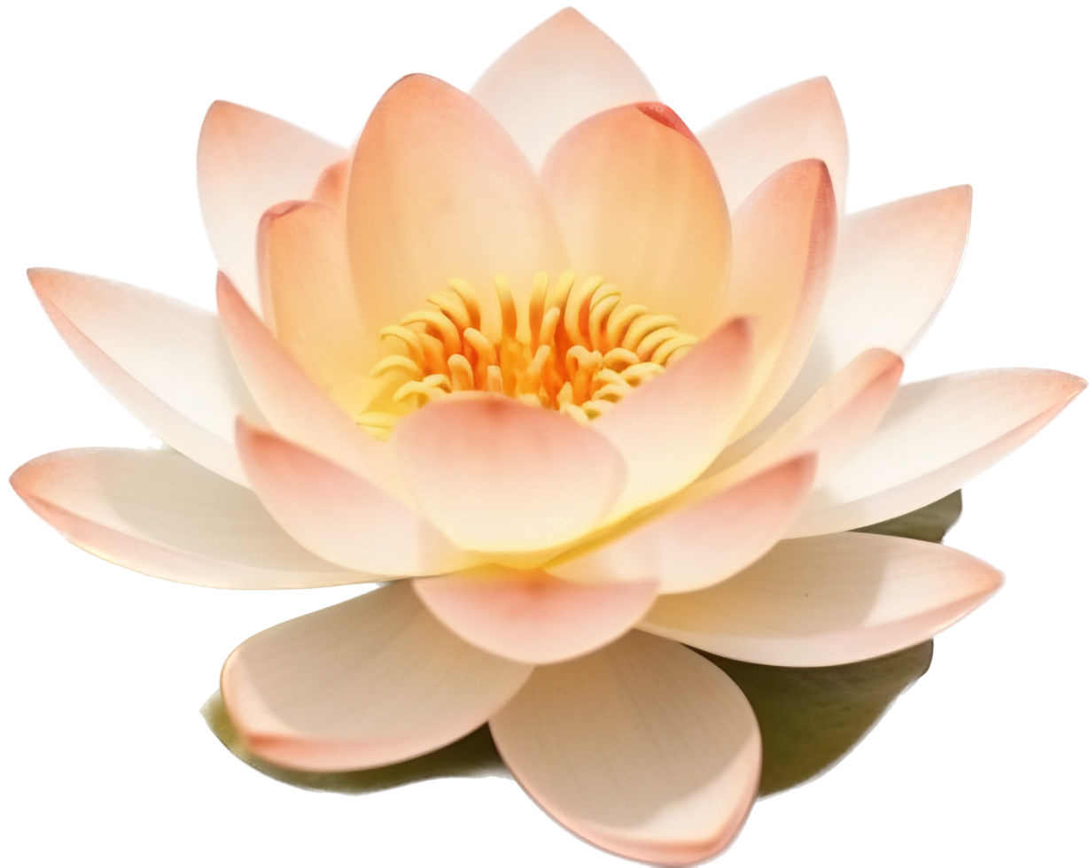 Lotus with . png