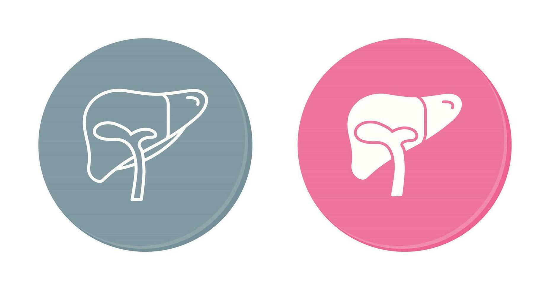Liver Vector Icon