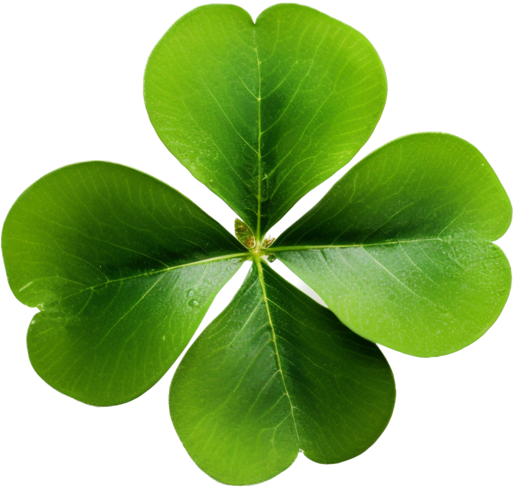 Clover with . png