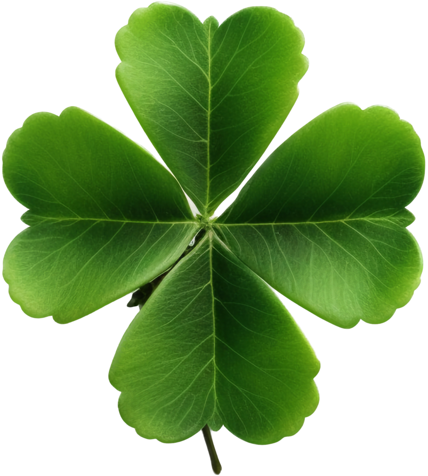 Clover with . png