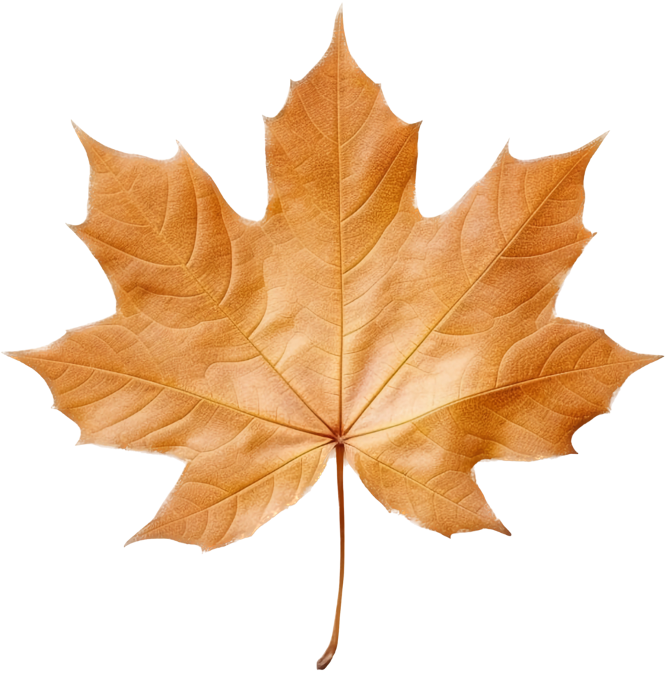 Maple leaf png with AI generated.