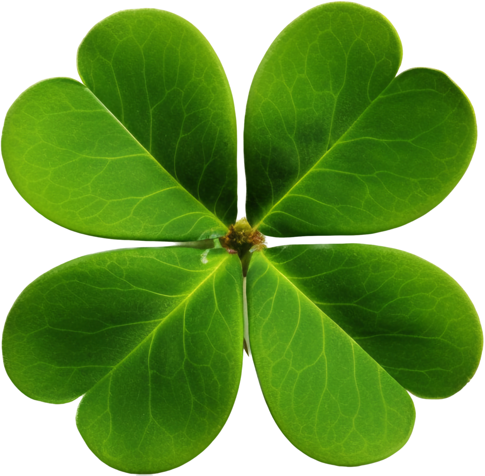 Clover png with AI generated.