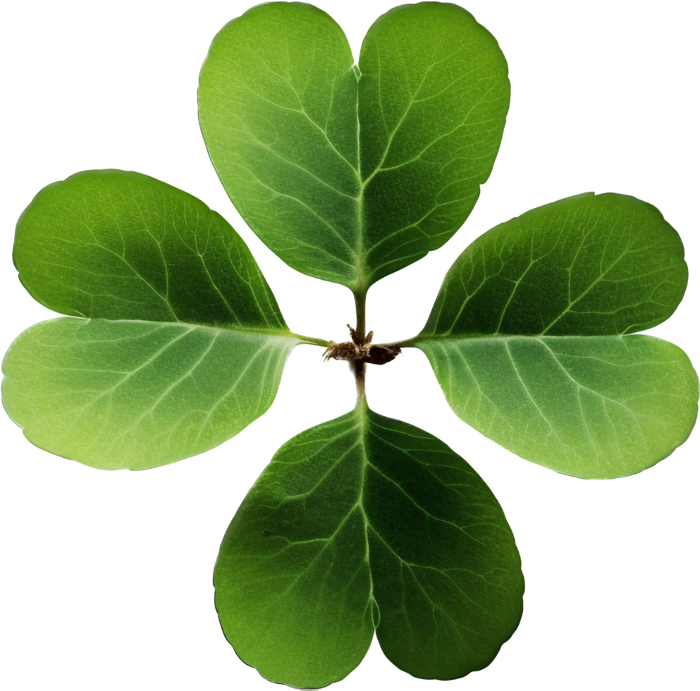 Clover with . png