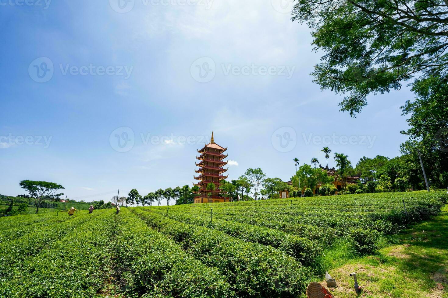 Beautiful view of Bat Nha Pagoda in Bao loc city, Vietnam photo