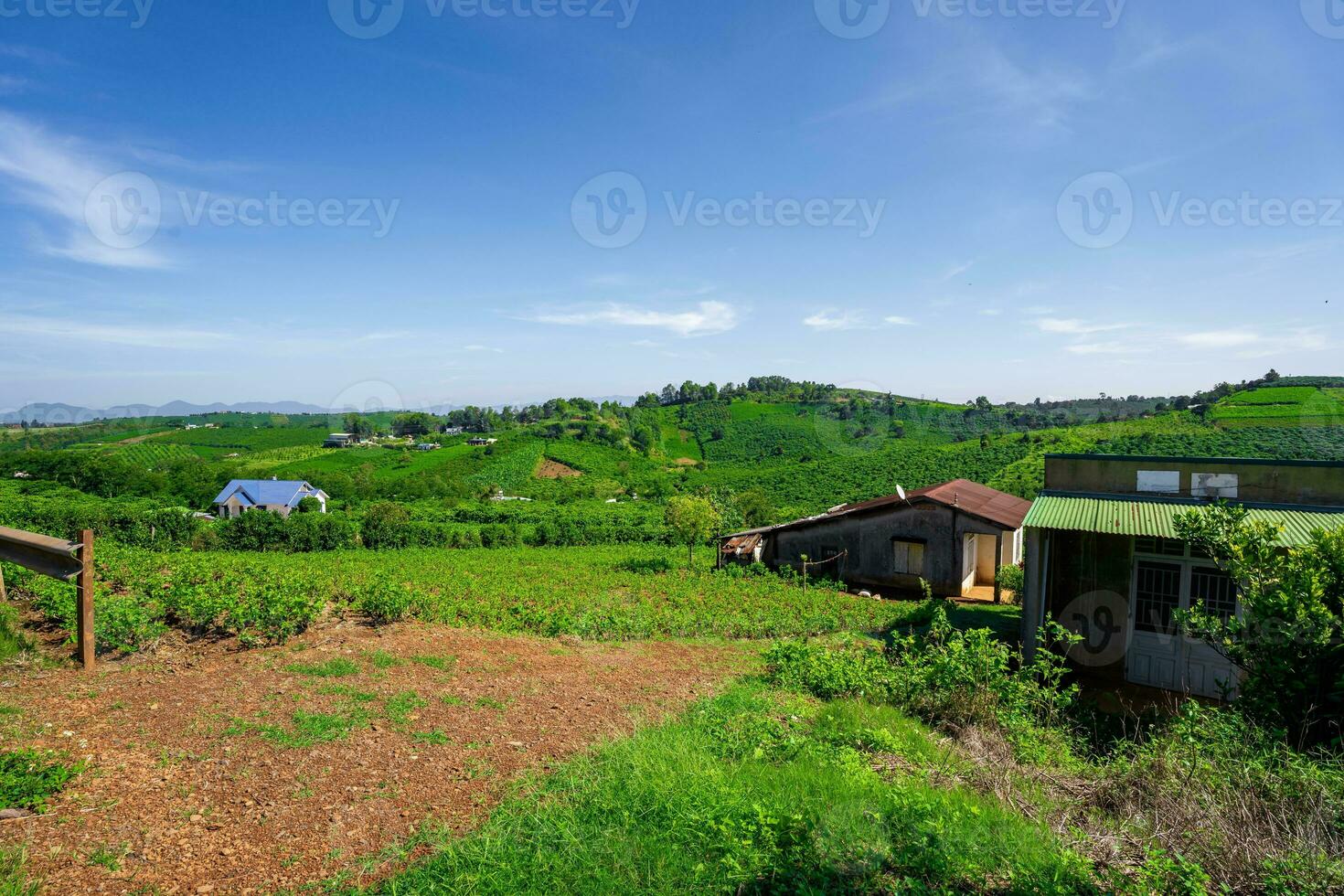 brillante azul cielo ver de un café plantación en bao ubicación, Vietnam foto