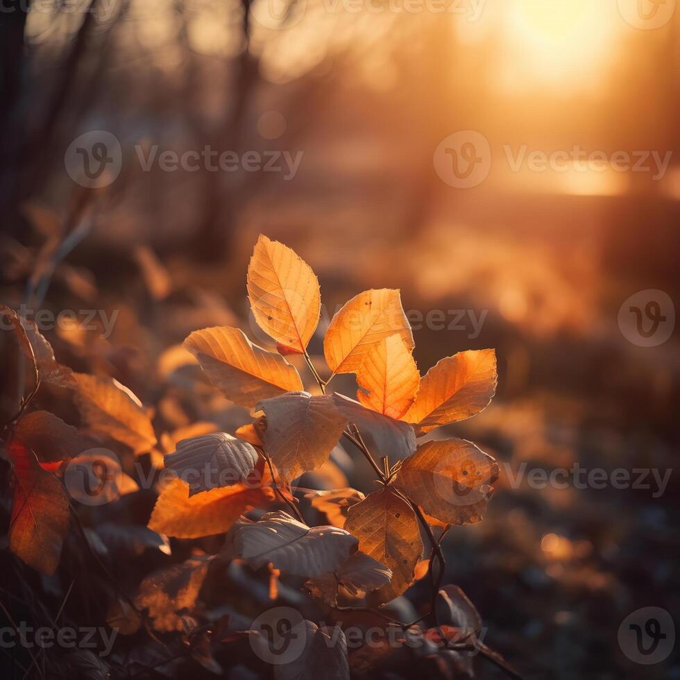 festivo otoño y contento acción de gracias decoración desde calabazas, bayas y hojas. ai generado. foto