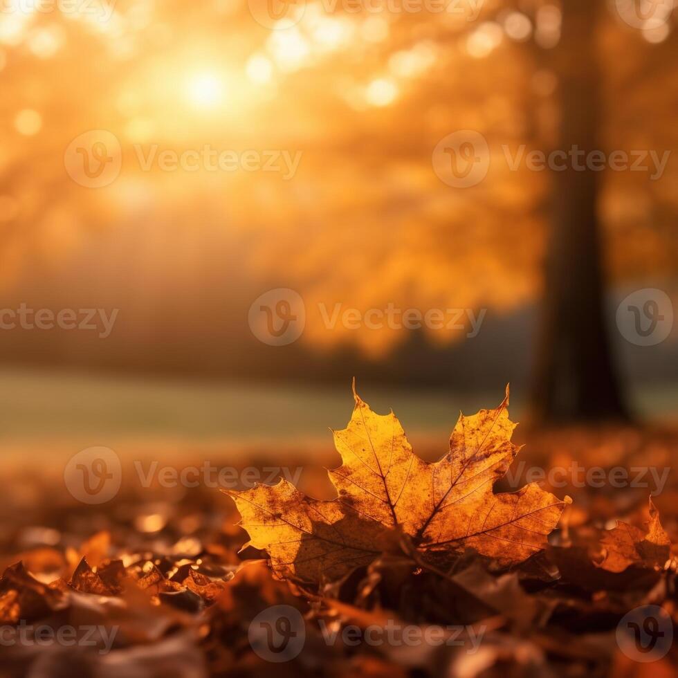 Festive autumn and Happy Thanksgiving decor from pumpkins, berries and leaves. . photo