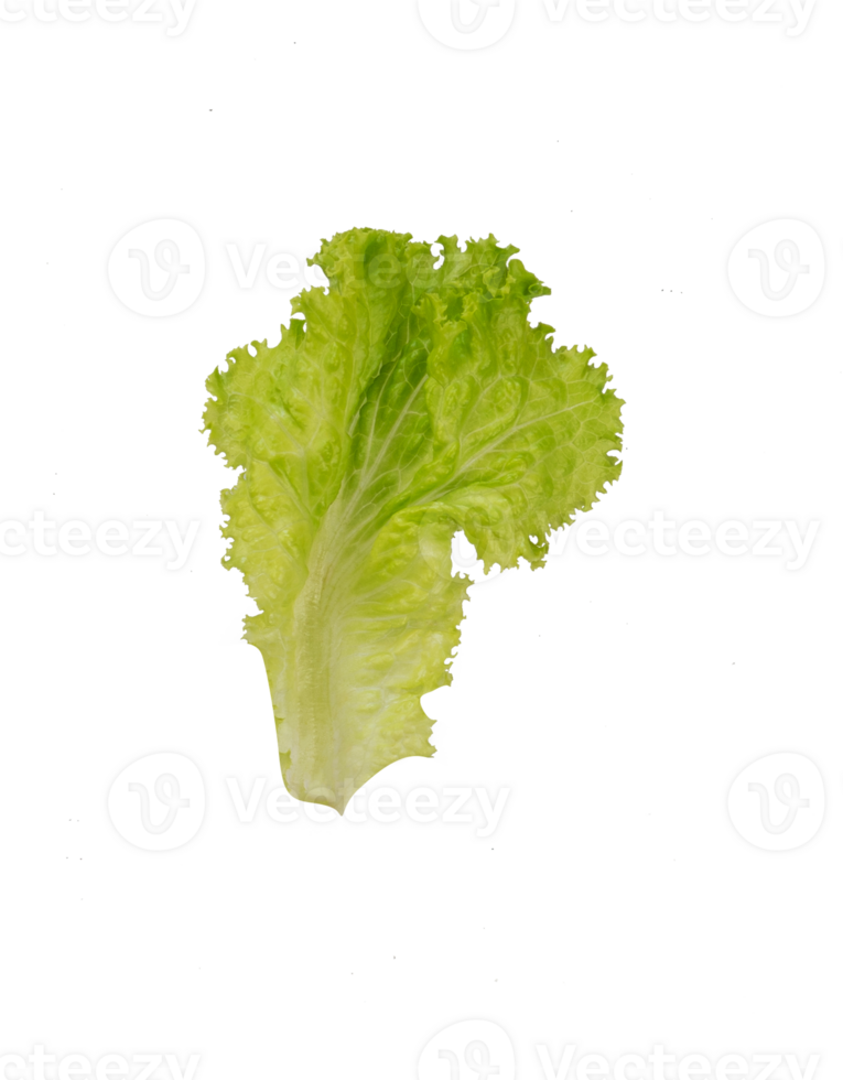 Pieces of fresh lettuce isolated png