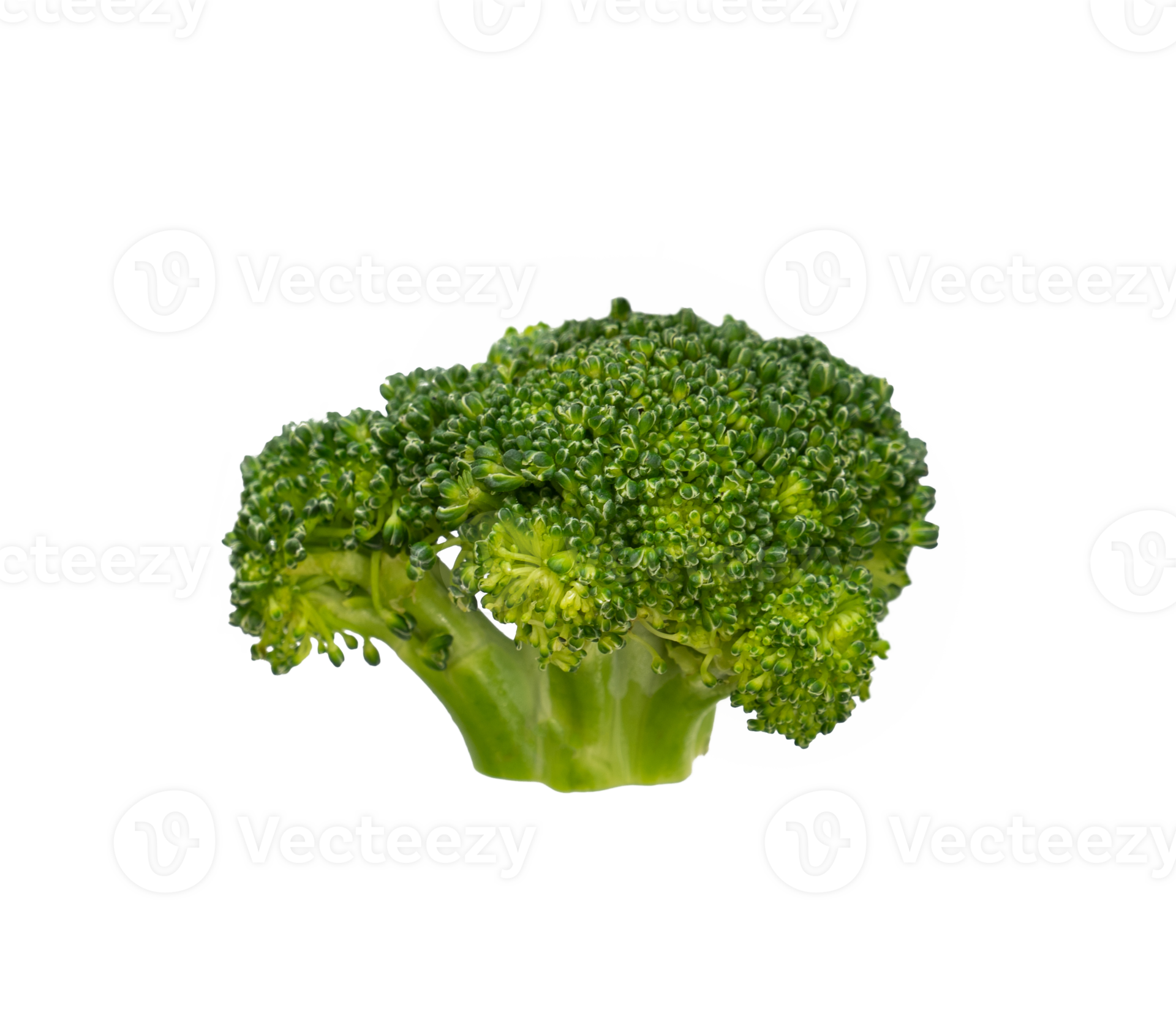 Pieces of broccoli isolated element 24867314 PNG