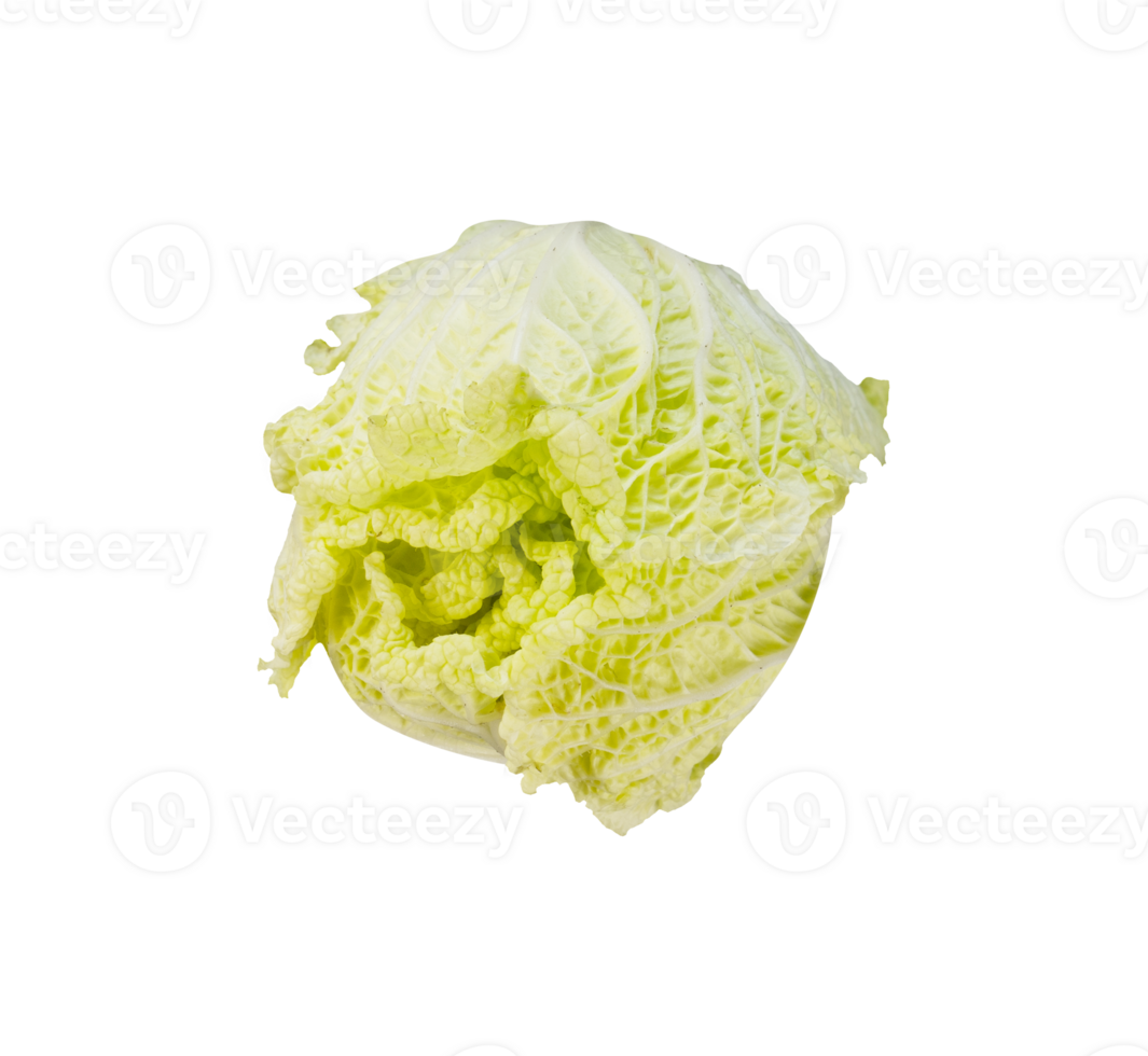 Fresh of Chinese cabbage isolated 24867363 PNG